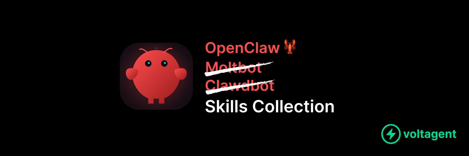 OpenClaw Skills 生态概览